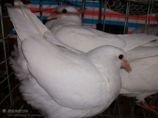 ʡظԴ룺ӪḻʳƷ