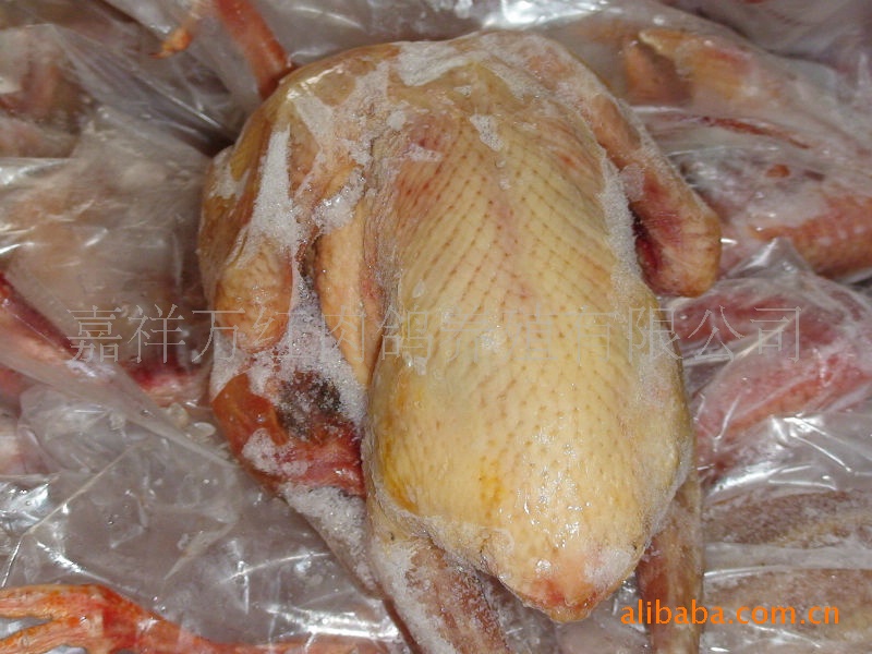 鲜乳鸽、肉鸽