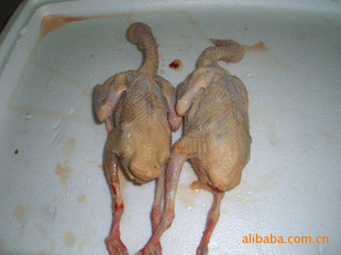 4İ루ɣ