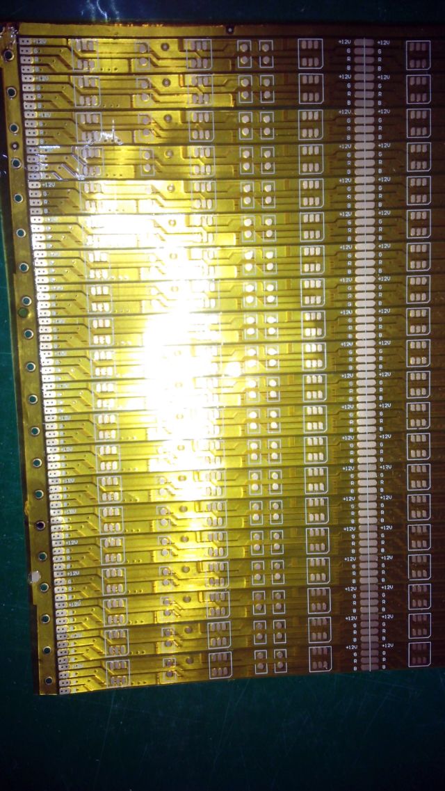 50503528