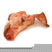 ͷж䶳ţĹ.Ӧ