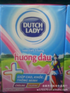 DUTCHLADYĸ̲ݮζţ110ml*48