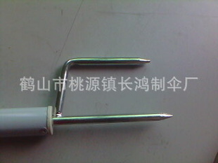 ̫ɡ̫ɡ
