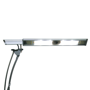 lampcamɨ,