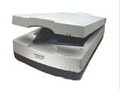 оɨ9800XL