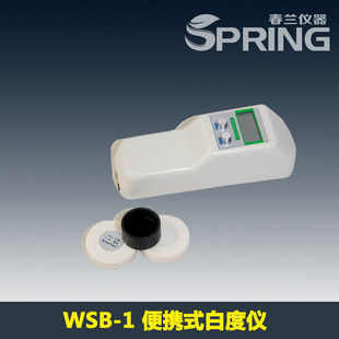 WSB-1Яʽ׶ǣһ׼Springʵ