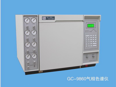 ʮ鴼GC-9860W