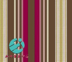 ϵCH-8060תӡӹ