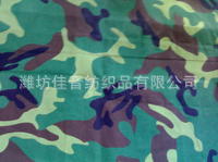 Թʲ