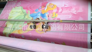 2׿ȫӡ˫沼
