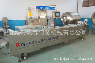 ˫DZL-420ȫԶװ304