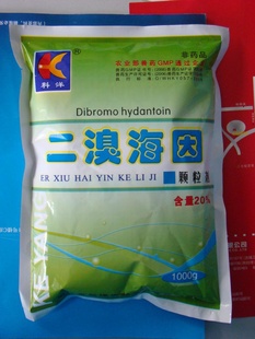 ۴۶庣