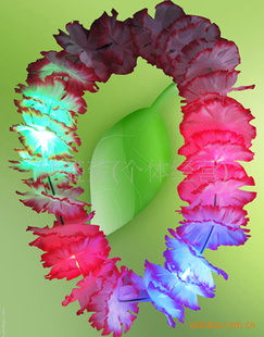 ⻨⻨hawaiilei