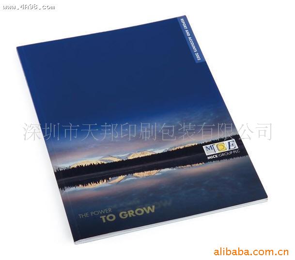 书刊画册、海报、宣传单、各类纸张印刷(图)