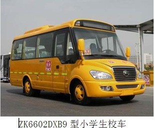 ZK6602DXB9СѧУ