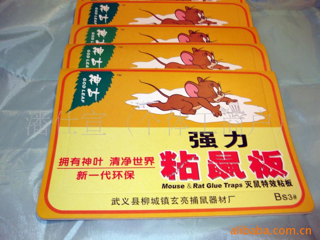 大量粘鼠板(图)