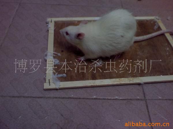 ǿճ壨02)