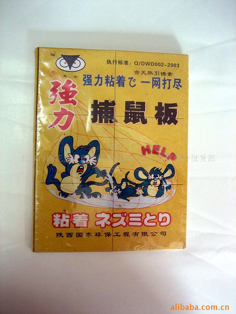 ճ岶ճճճ