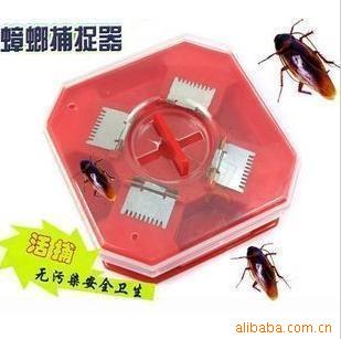 벶׽ȫȾ156g