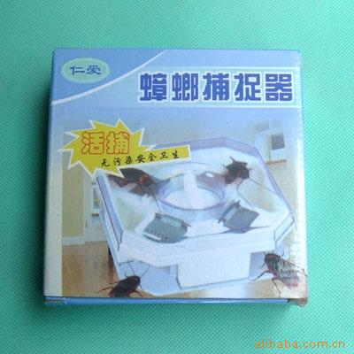 벶׽