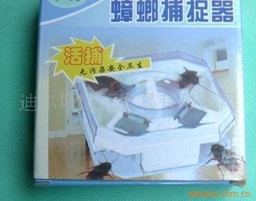 벶׽޺벶׽