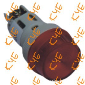 ָʾAD22-22R-C