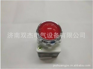 LD11-25ϵָʾƳҴֱֻ