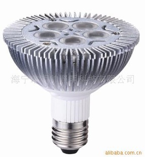 LEDƱPAR30