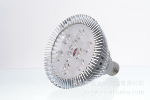 LEDPAR38PAR309W