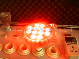 LEDƷбƣݣ