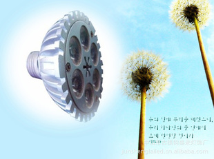 ֱѹ6WPar20LEDƱ872330