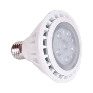 PAR30LEDLEDƱ