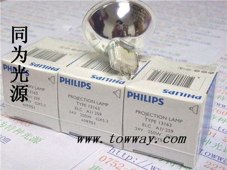 13163/5H24V250WELC/5HJAP