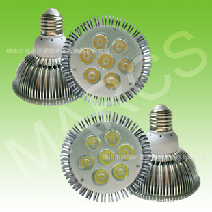 12V7WPAR30