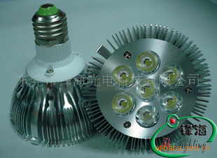 Լ۱ȴLEDPAR30220V7X1W