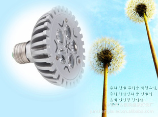 ֱѹ5WPar20LEDƱ877250