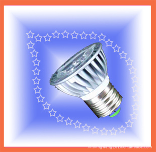LEDʵƱLED1Wů