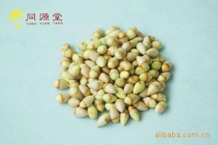֮缶ӹлʳƷ