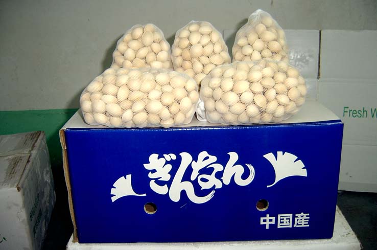 ,ڼӹ(ͼ)