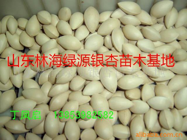 ӣ׹6Ԫ/kg