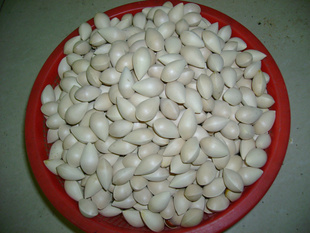ۼز2012ʰ׹ؼӹӹ׹