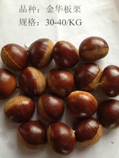 ֱ40-60ڼʰṩ̼