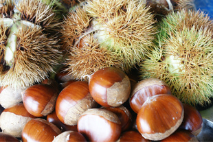 40-50/ڼʰ