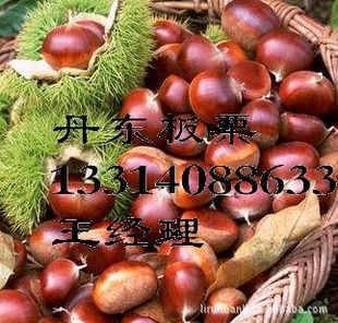 ڴ304040504060/kg
