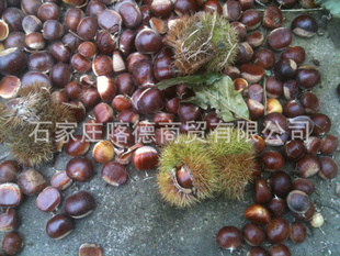70-80ѡƷϳˣ۸񣬻ӭǰɹ