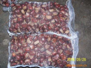ڼ40-60/KGʰ