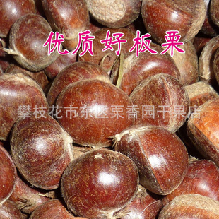 ,췢,ڶջ,һ,Ǩ313,