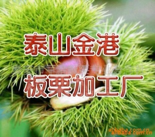 ۳ڰ40-60/