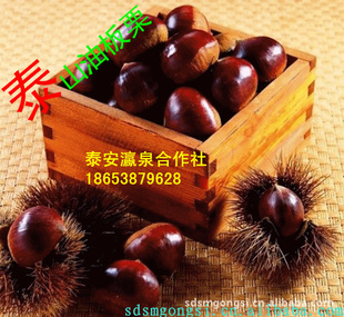 ̩زũƷ