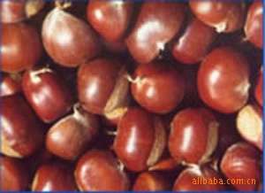 ֹĳڼ׼ıʰ